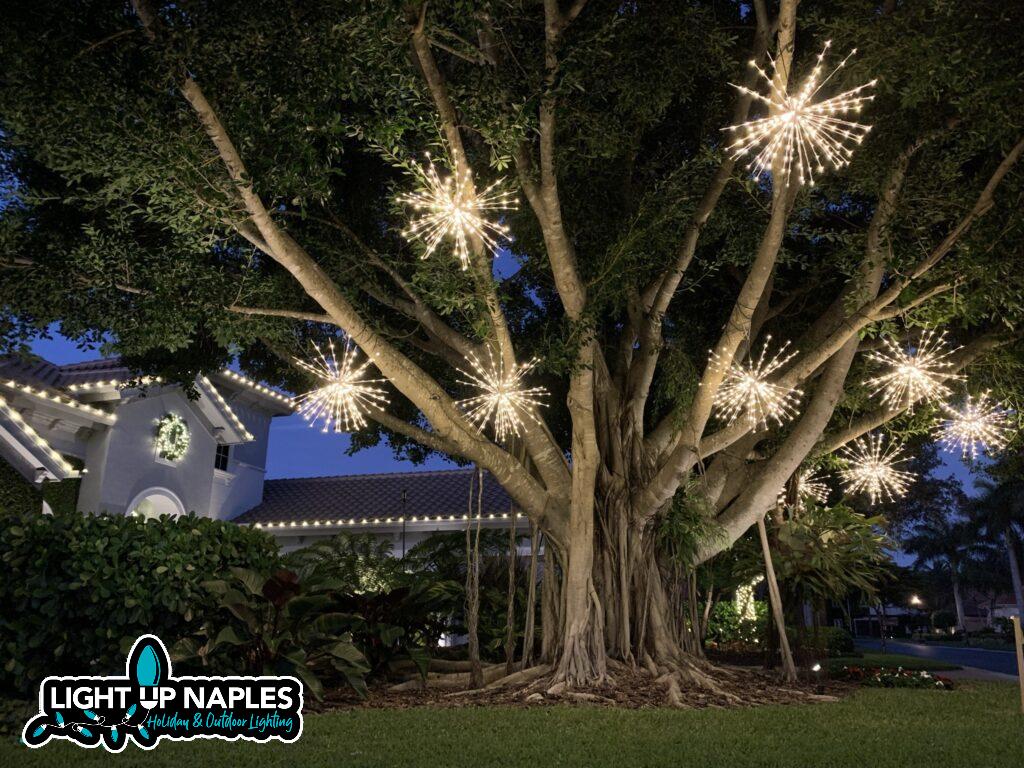 hire professional Christmas light installers