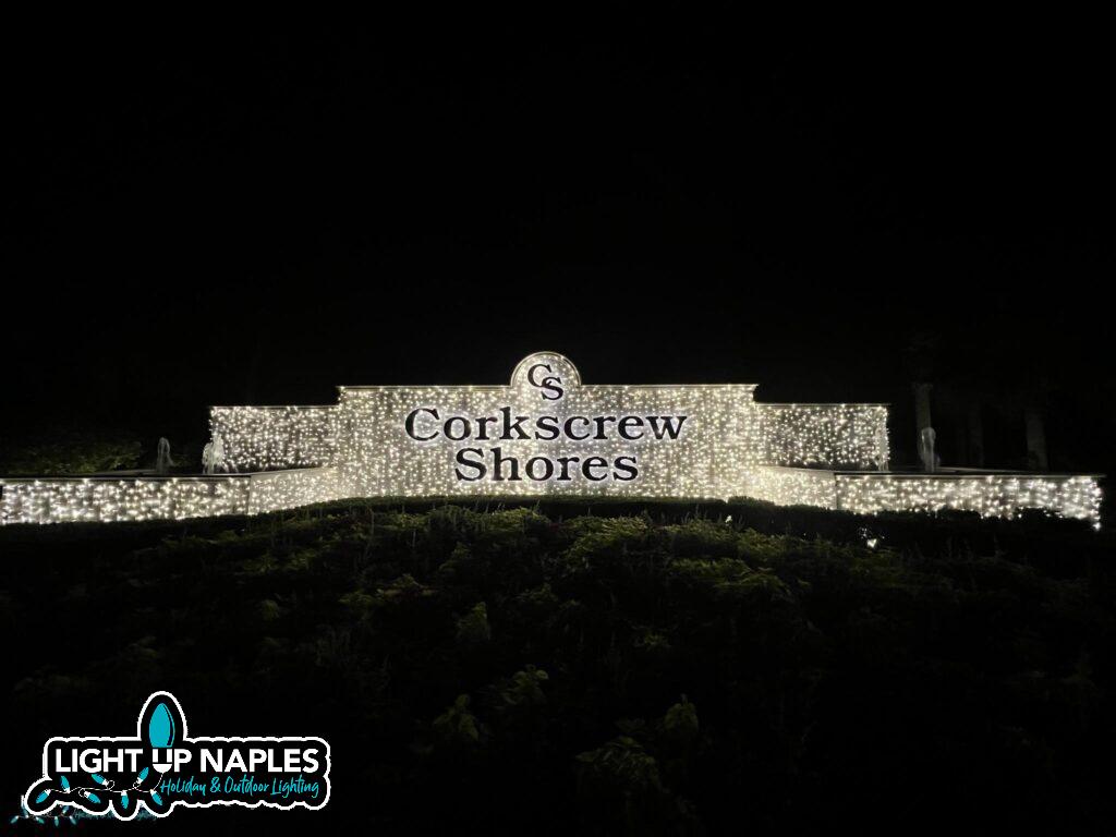 early booking of outdoor Christmas light