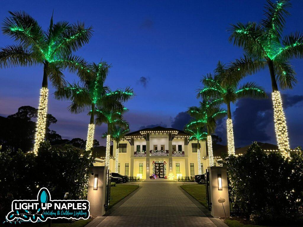 christmas light installation season