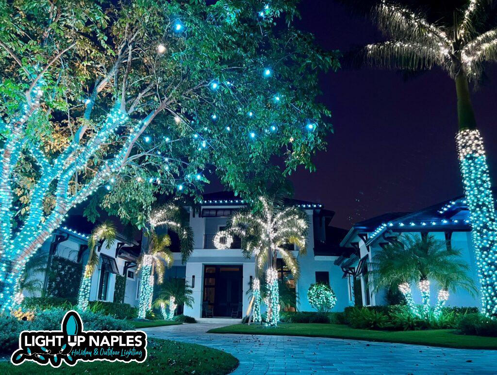 Christmas Light Installation