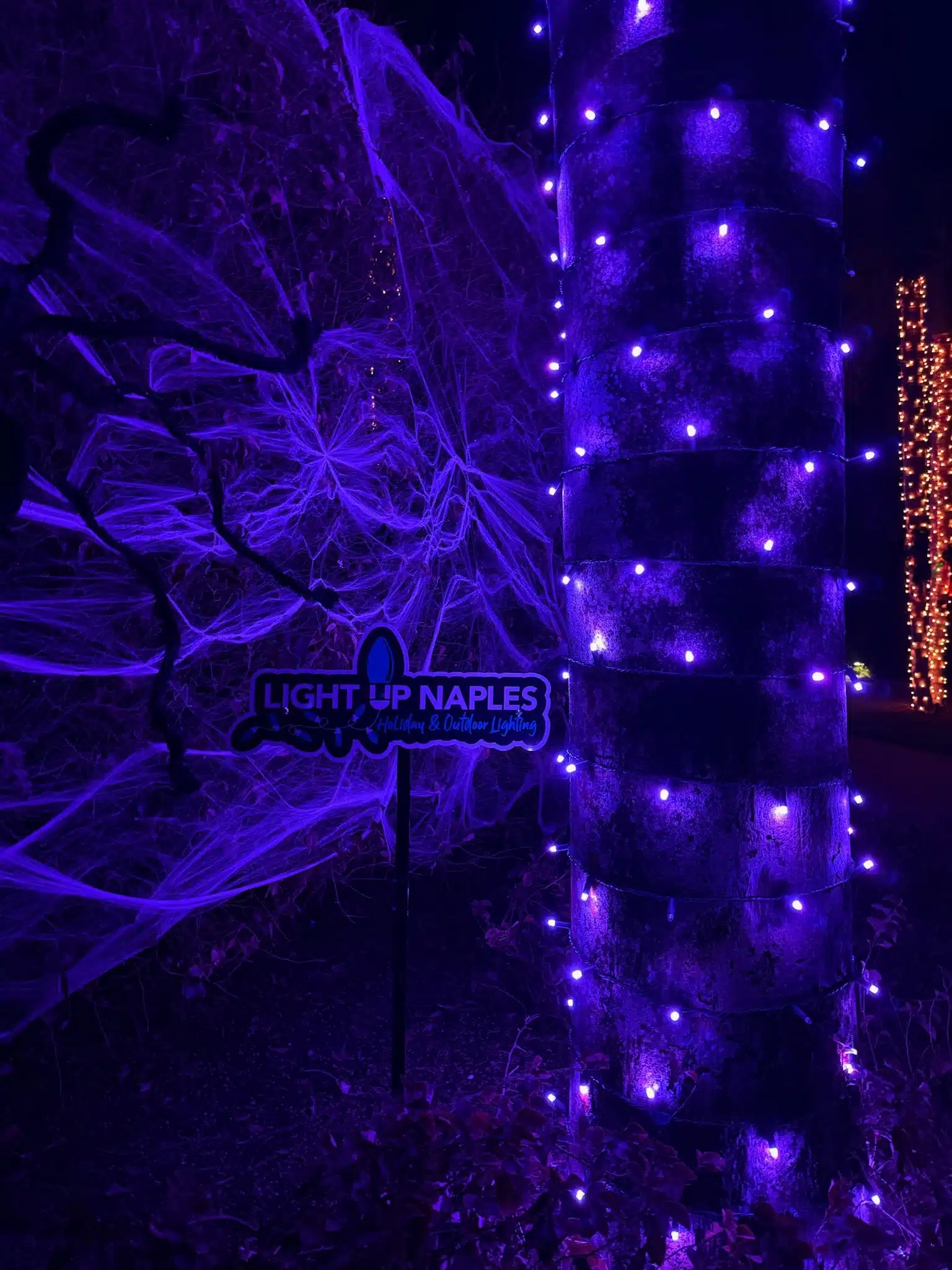 Purple Colour