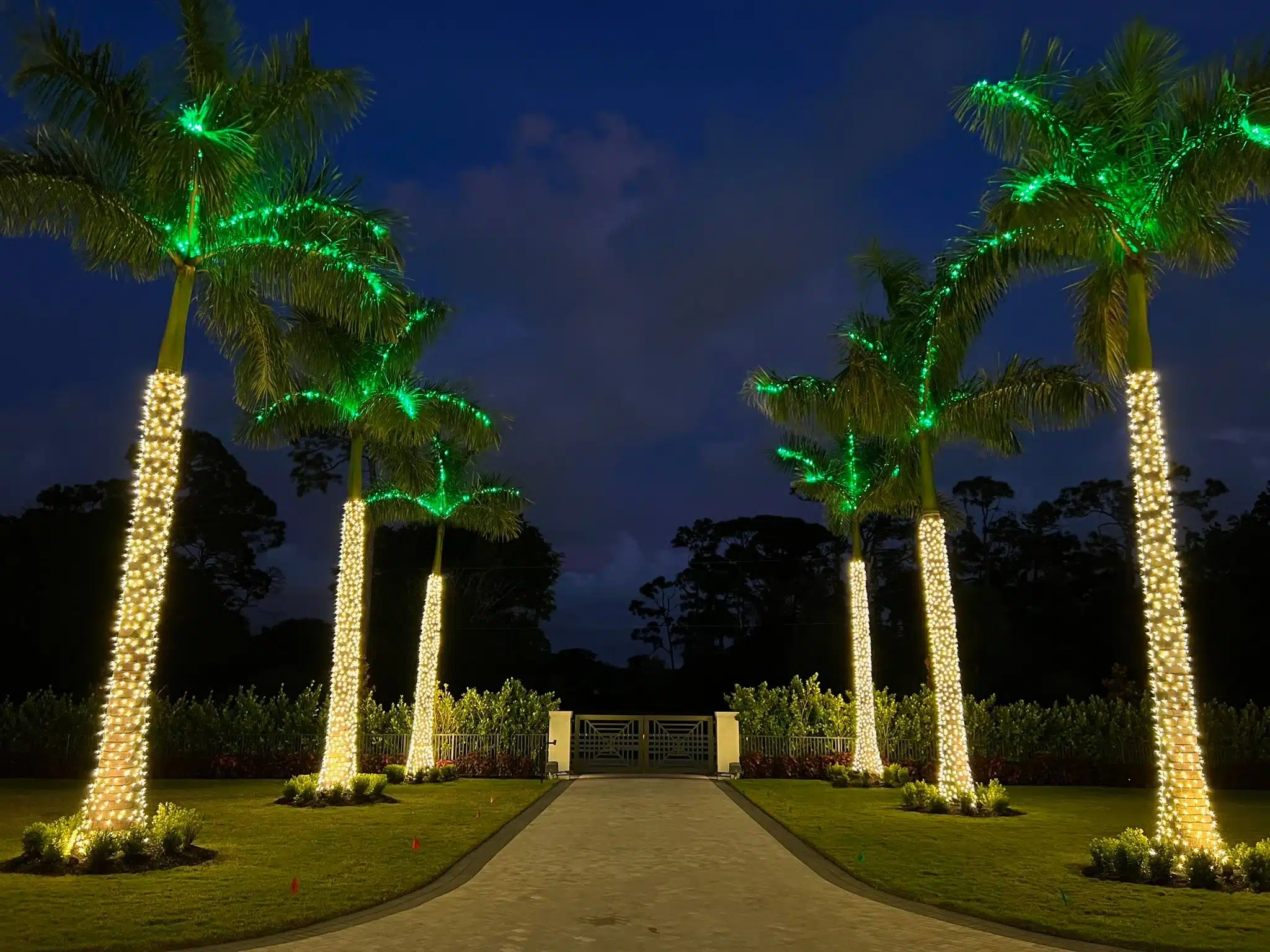 palm tree lighting Naples FL